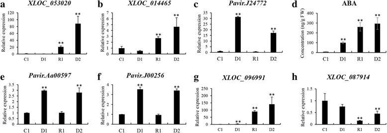 Fig. 7