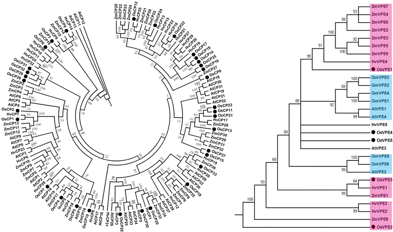 Fig. 5