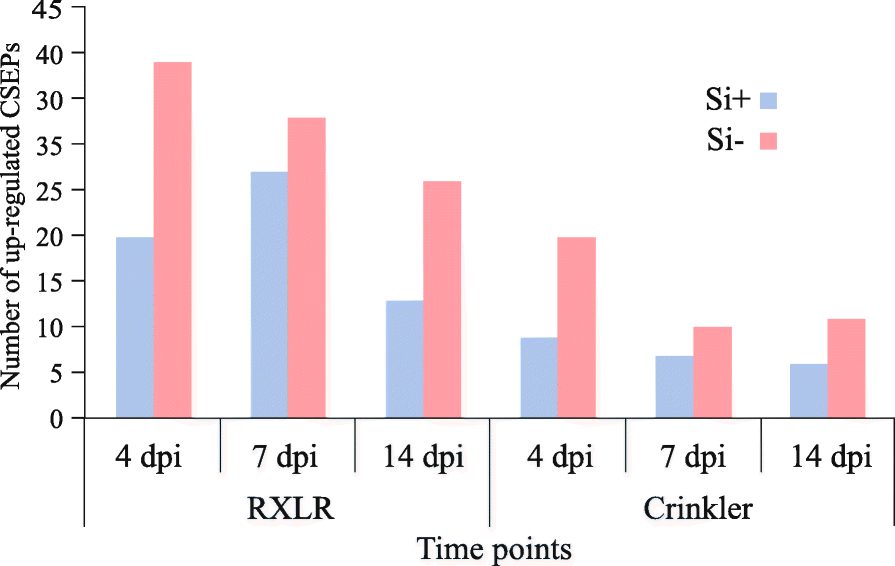 Fig. 7