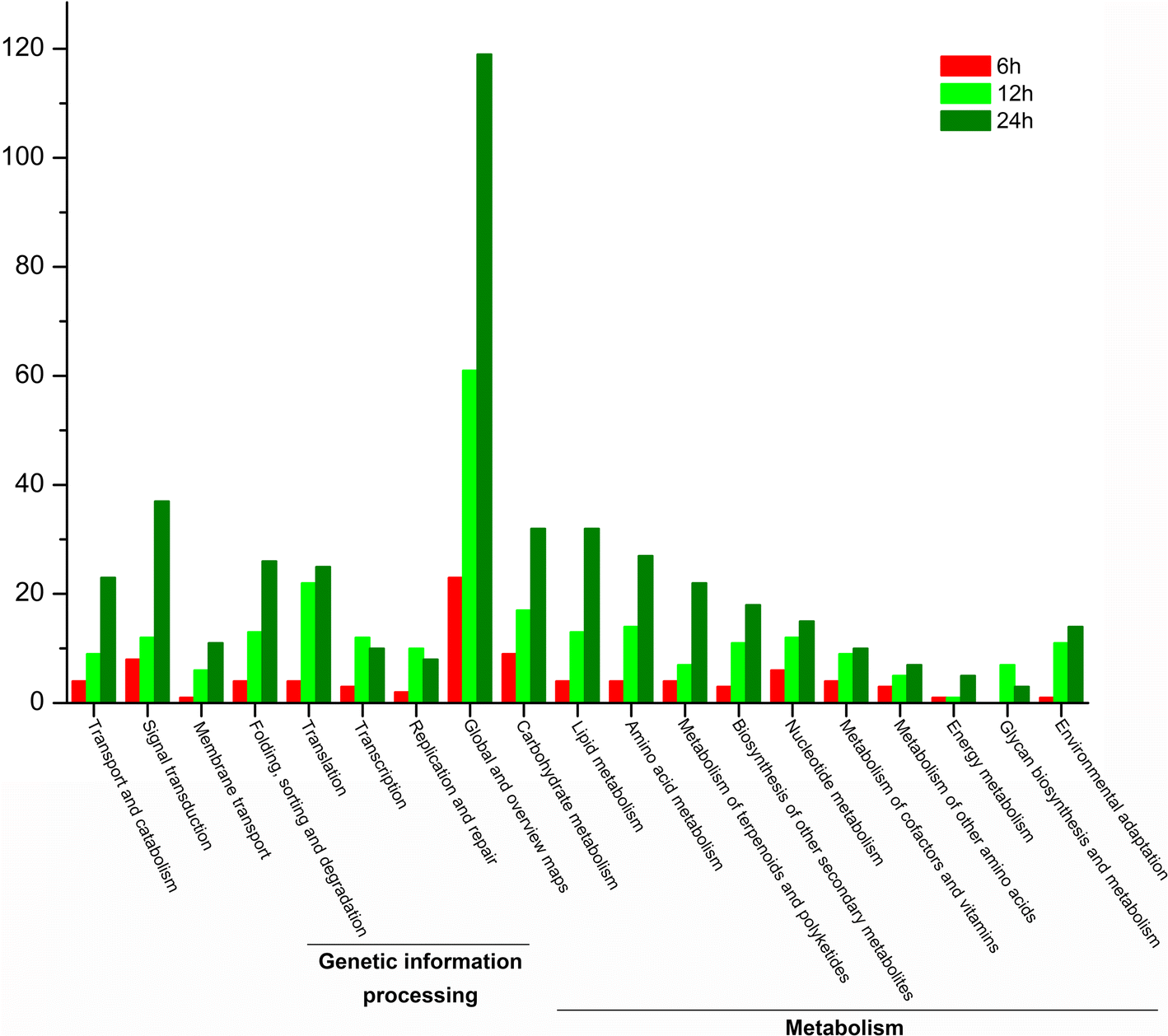 Fig. 5