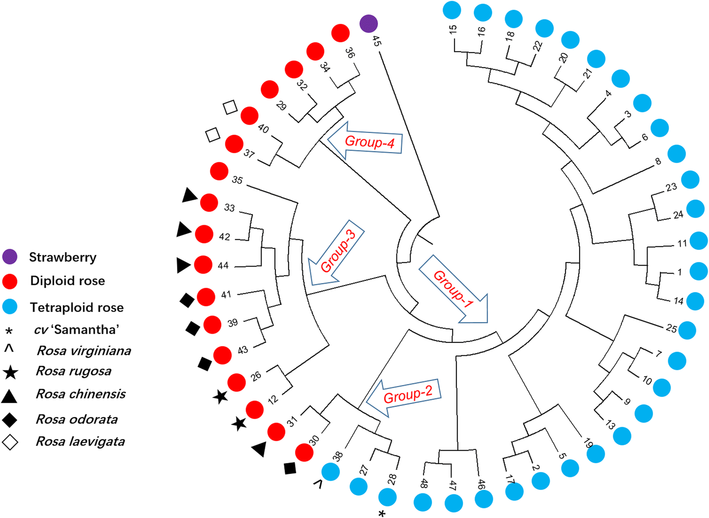 Fig. 5