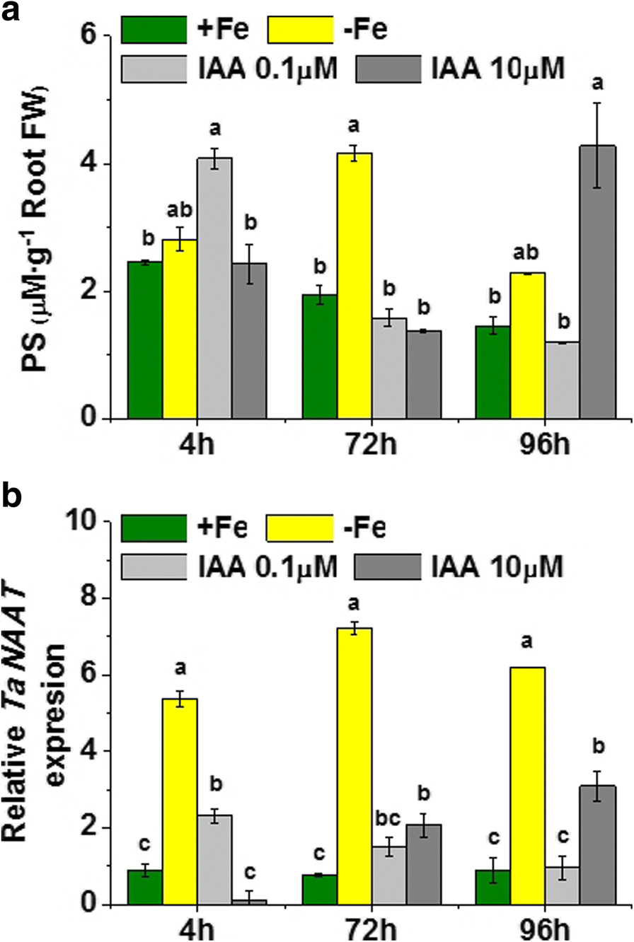 Fig. 6