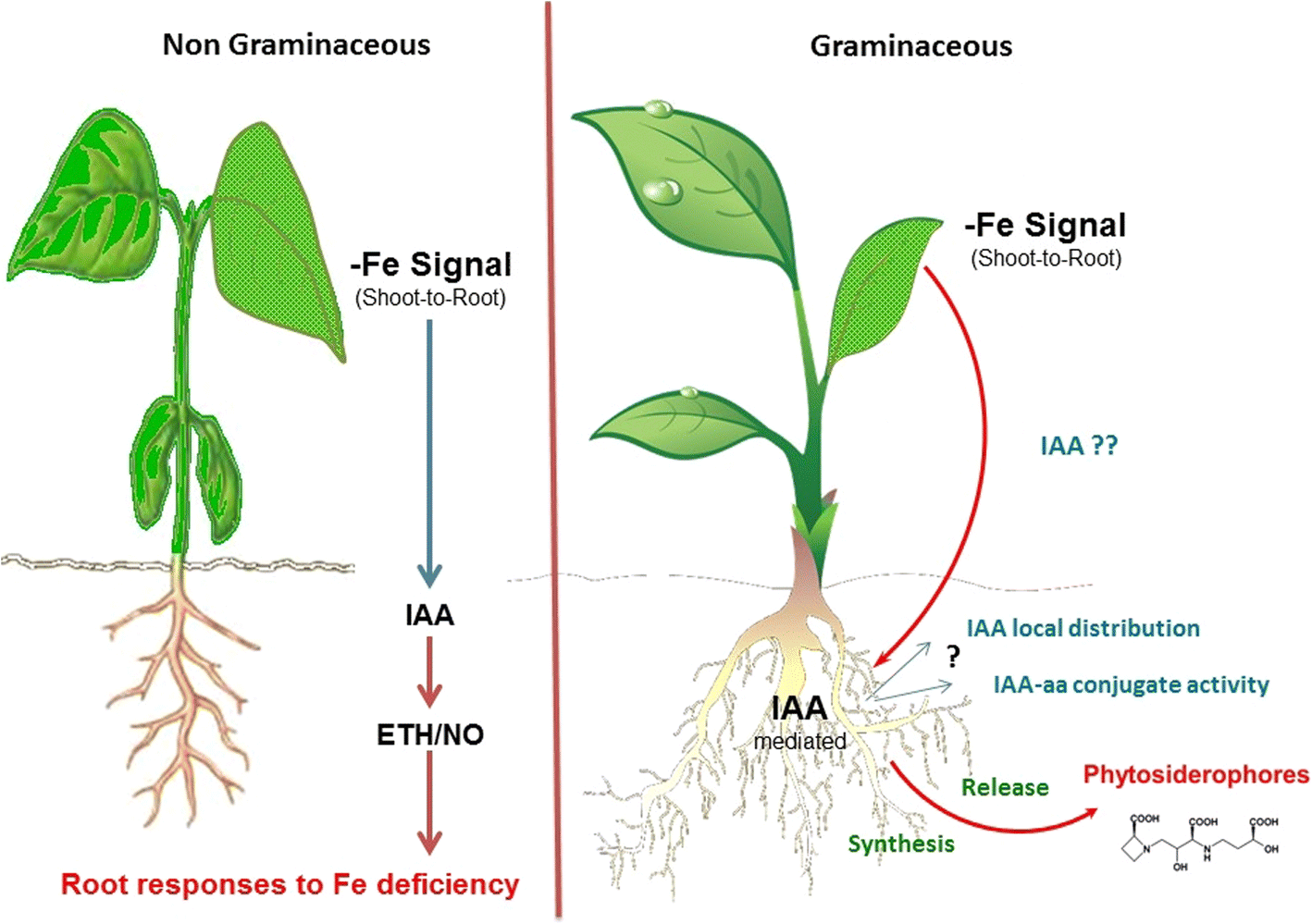 Fig. 9