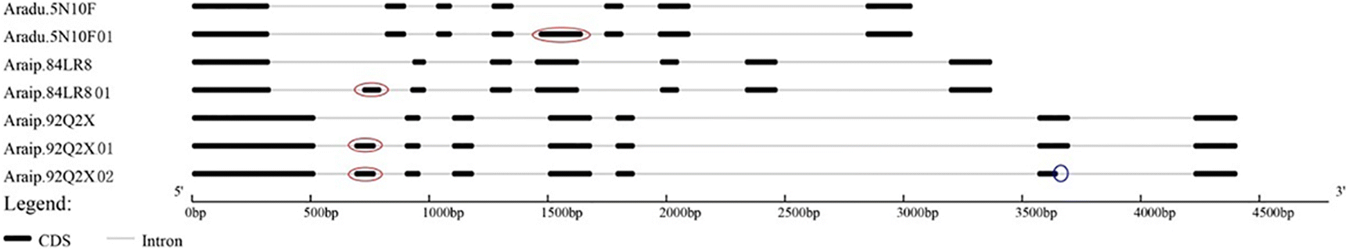 Fig. 5