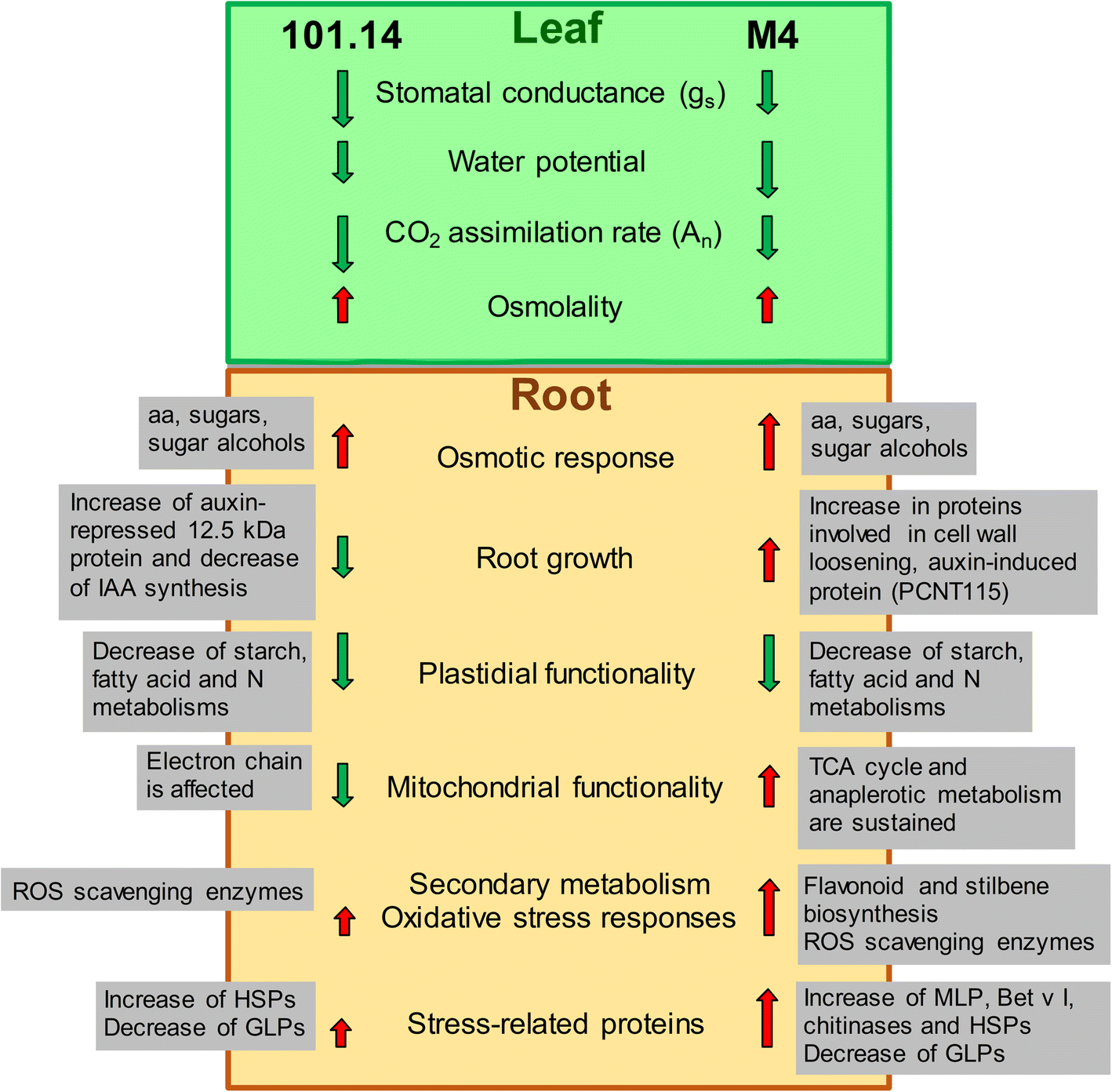 Fig. 6