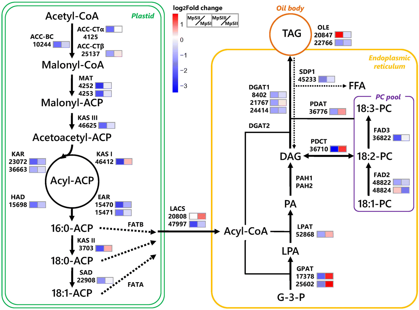 Fig. 6