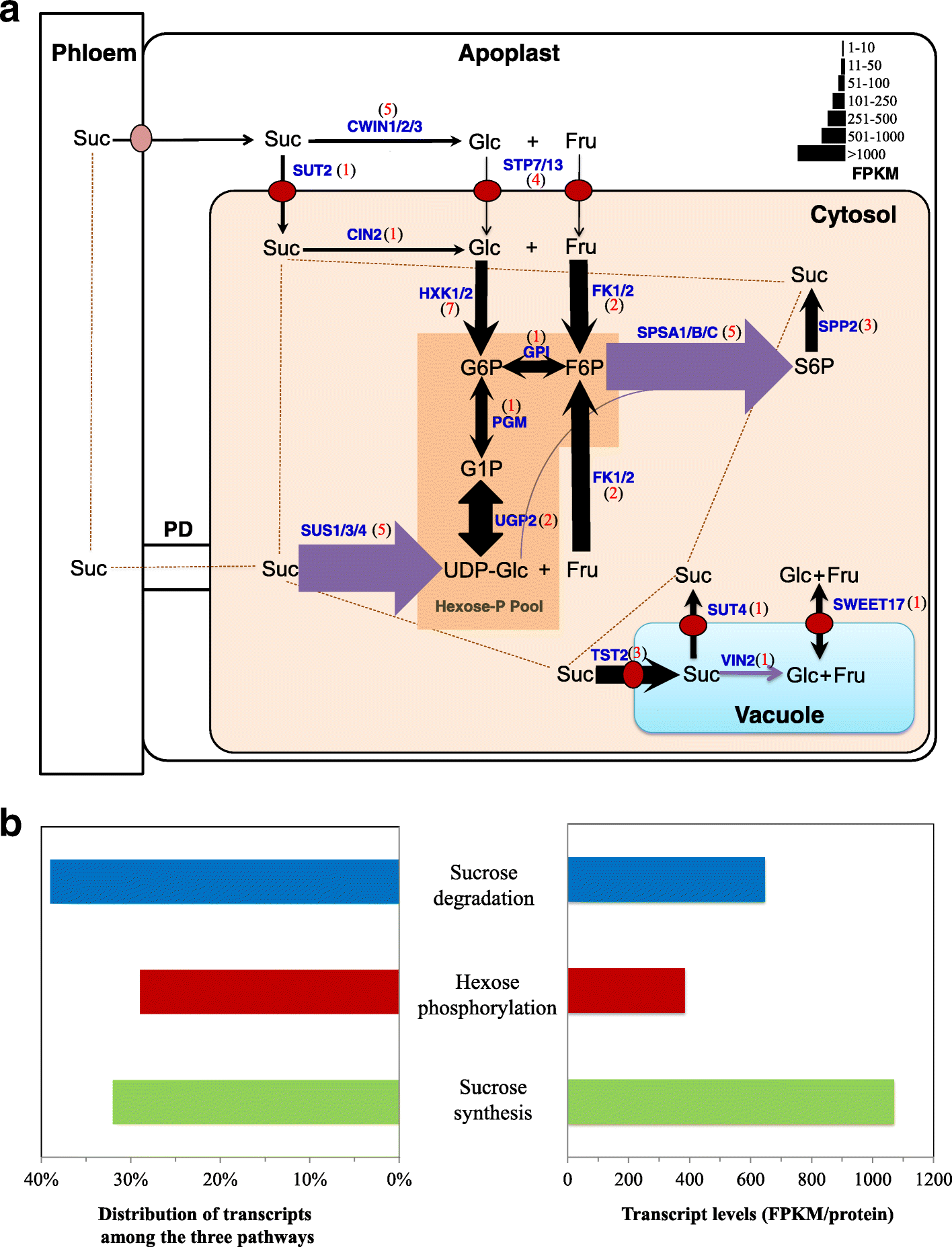 Fig. 2