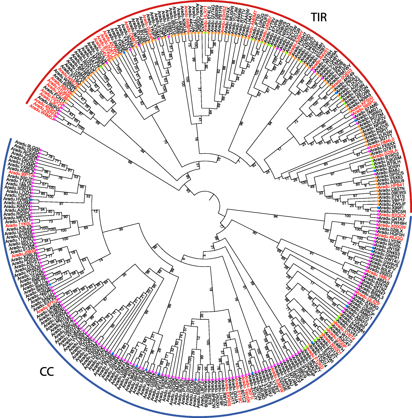 Fig. 5: