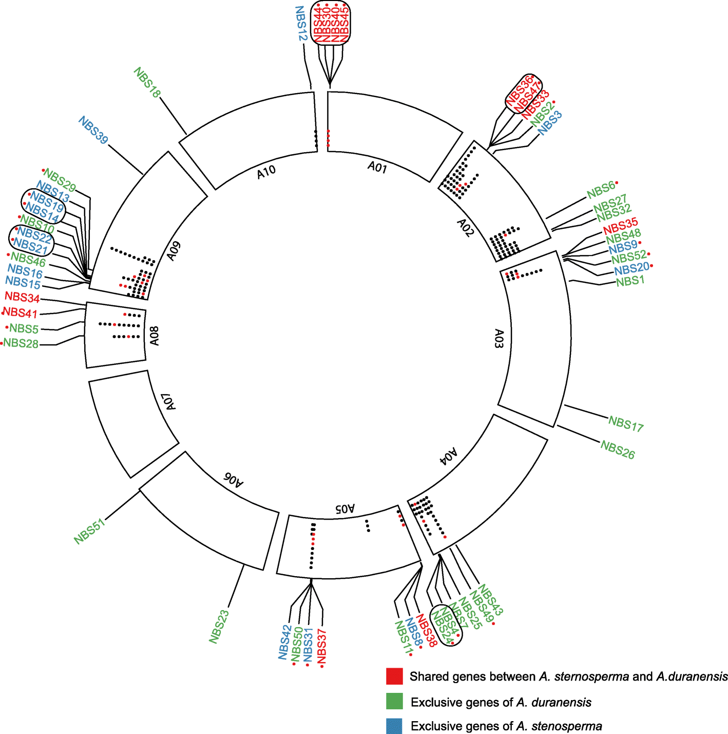 Fig. 6: