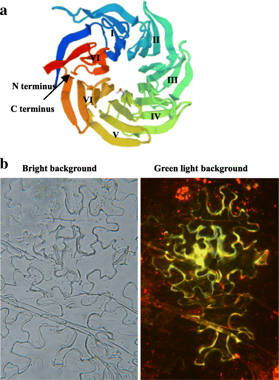 Fig. 2