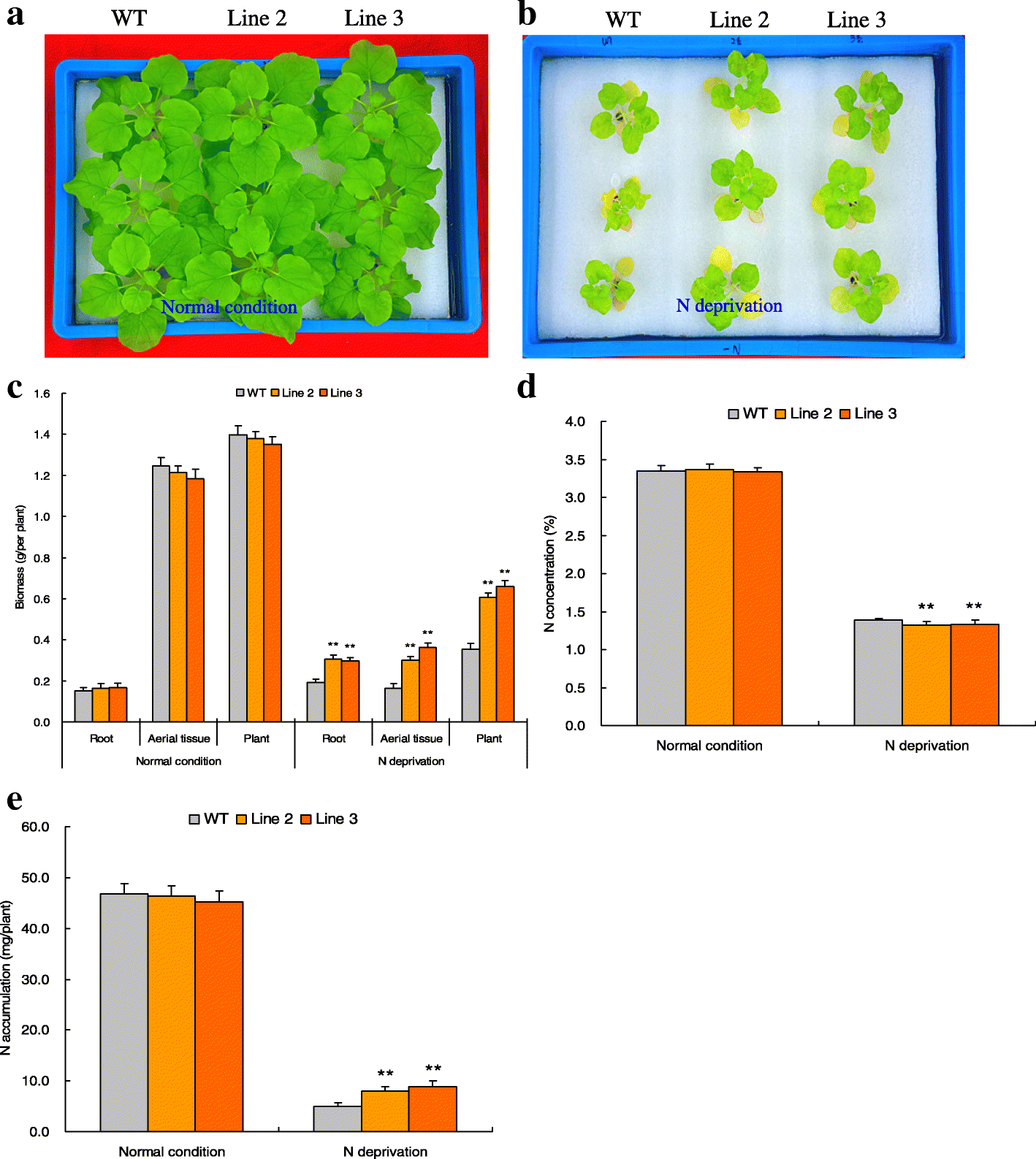 Fig. 4