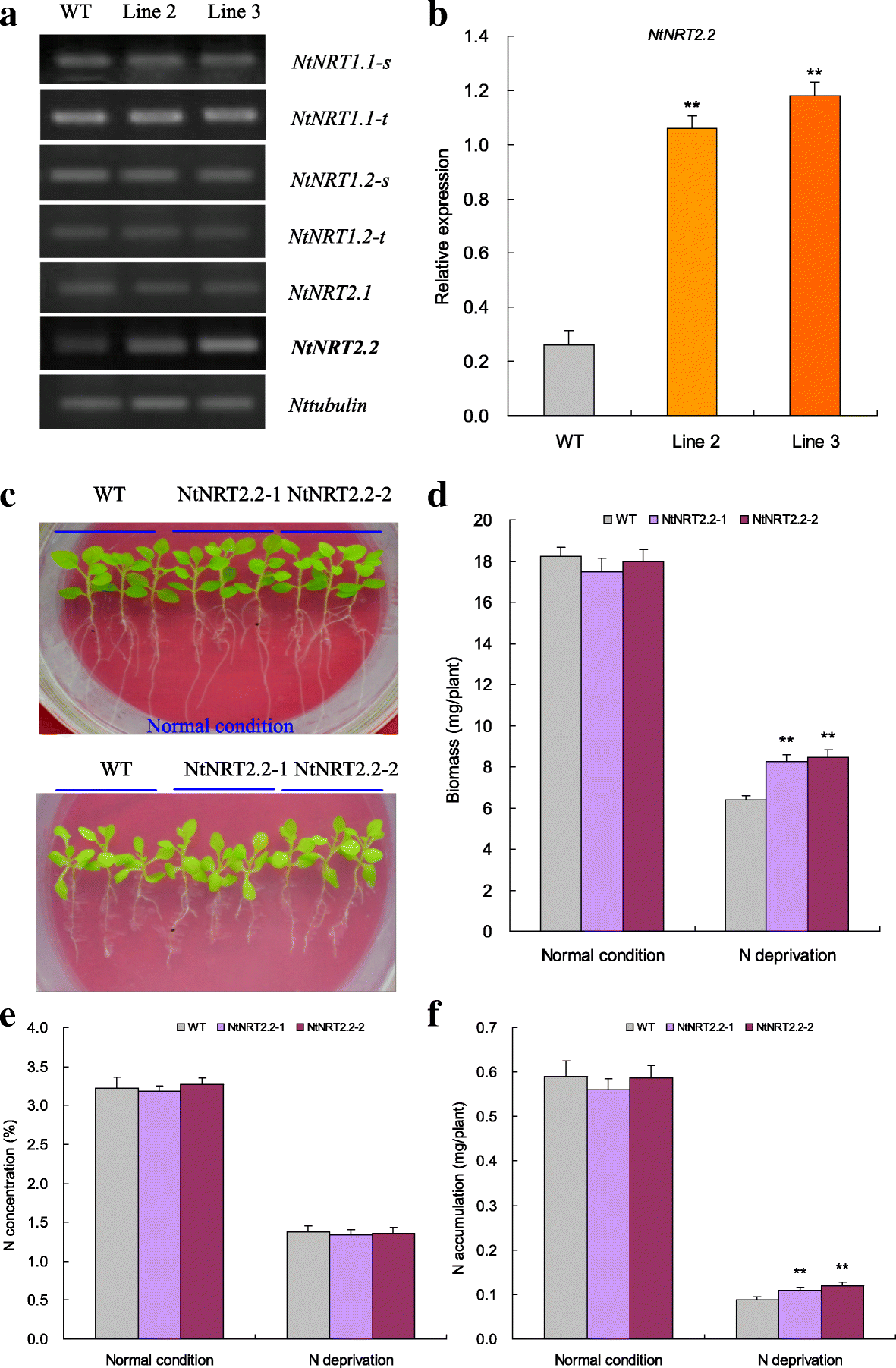 Fig. 5