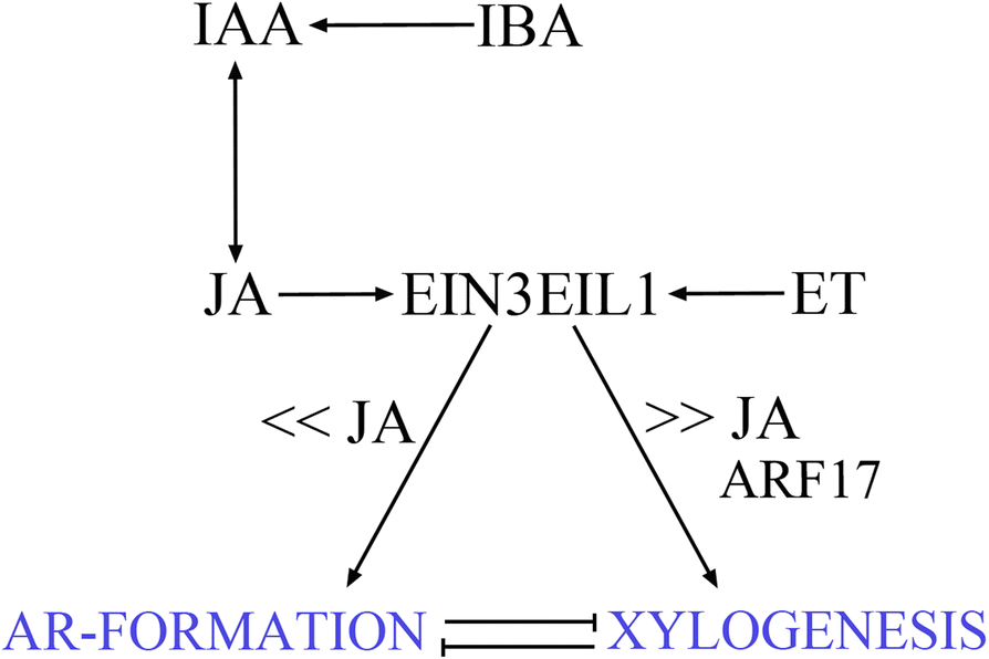 Fig. 12