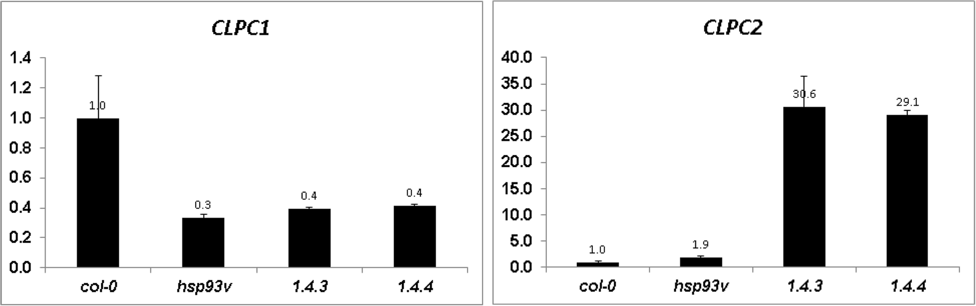 Fig. 5