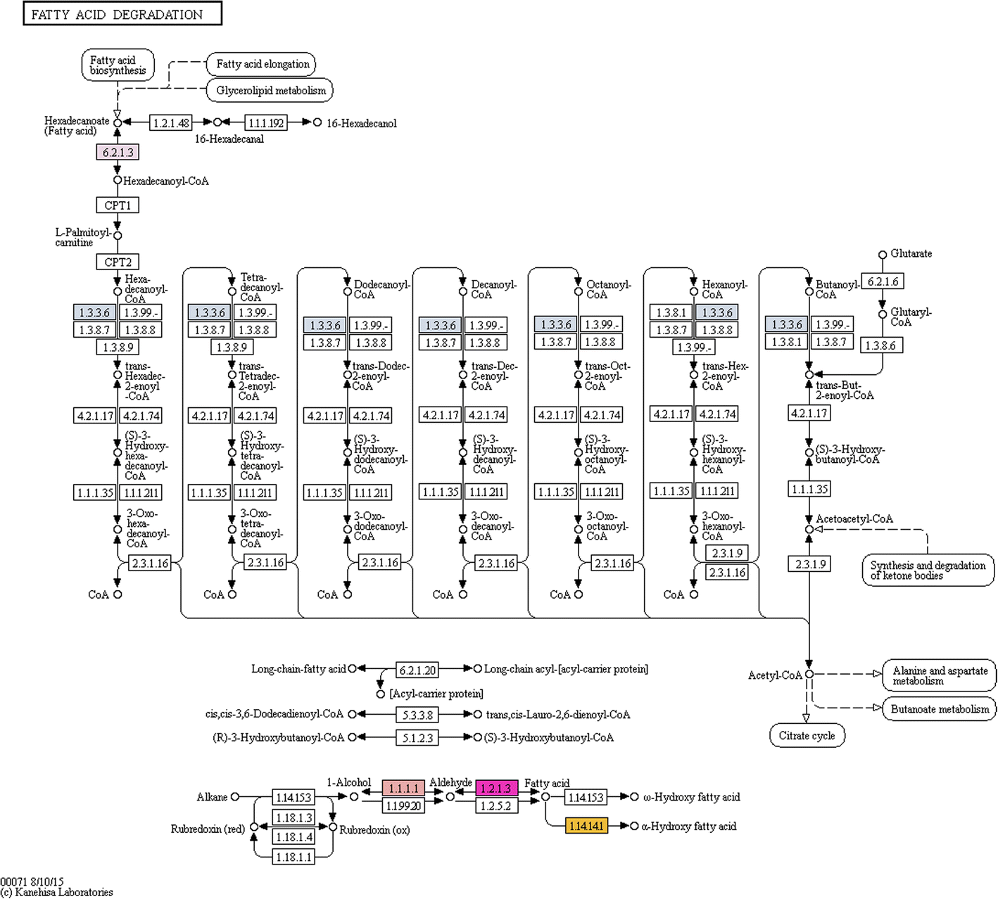 Fig. 6