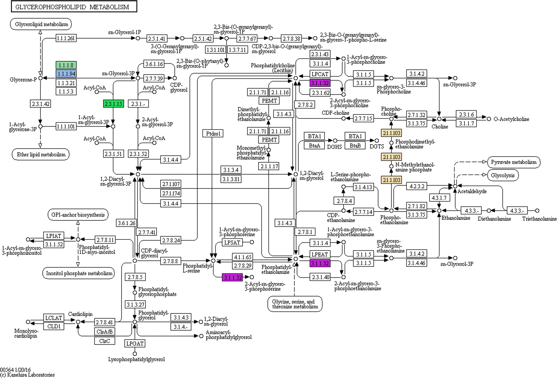 Fig. 8