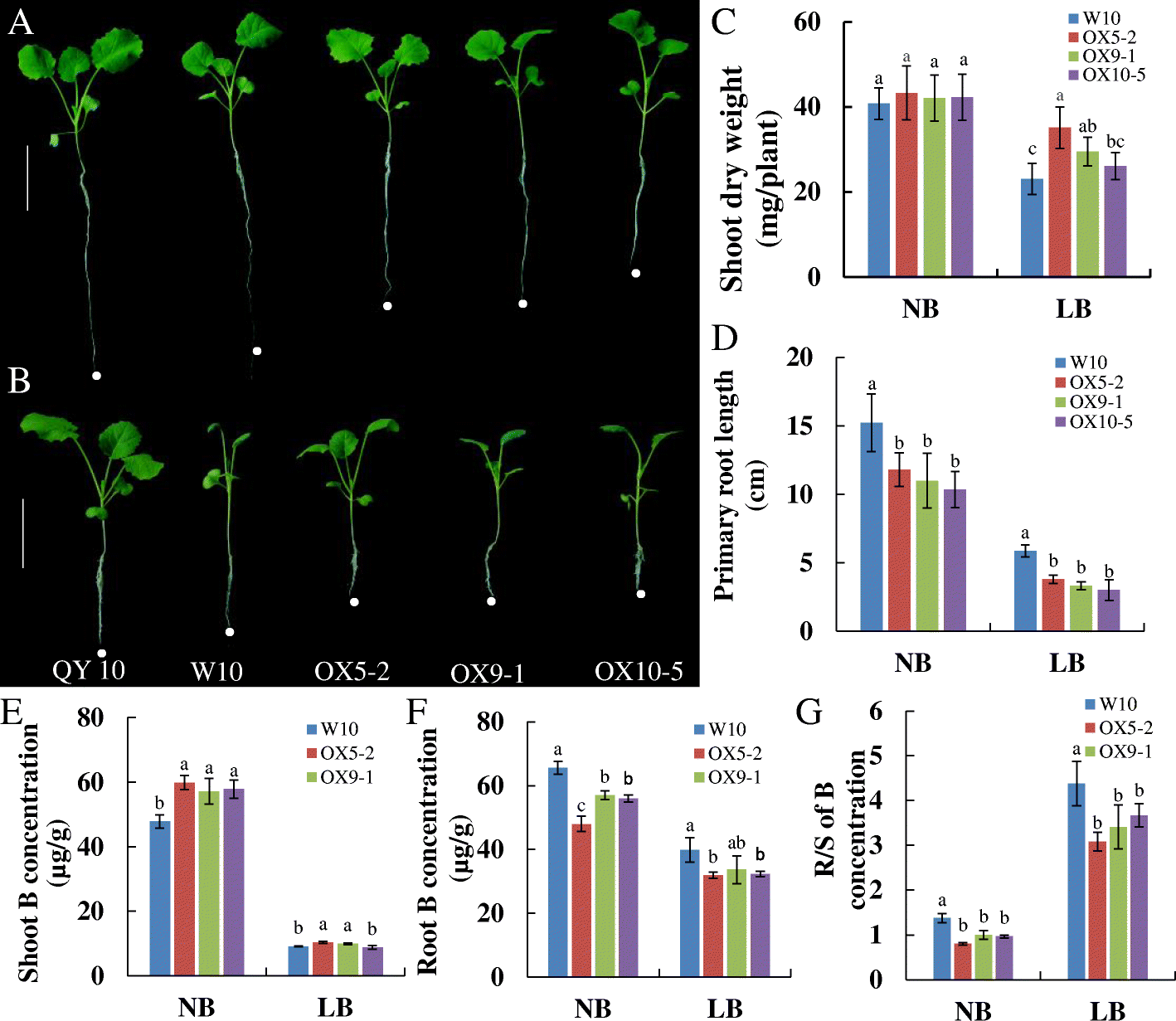 Fig. 6