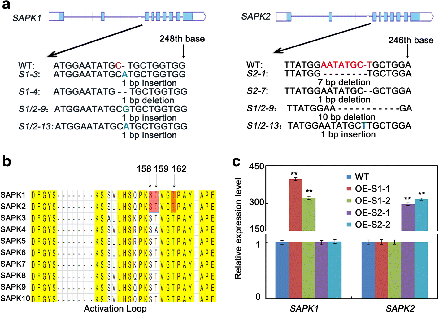 Fig. 3