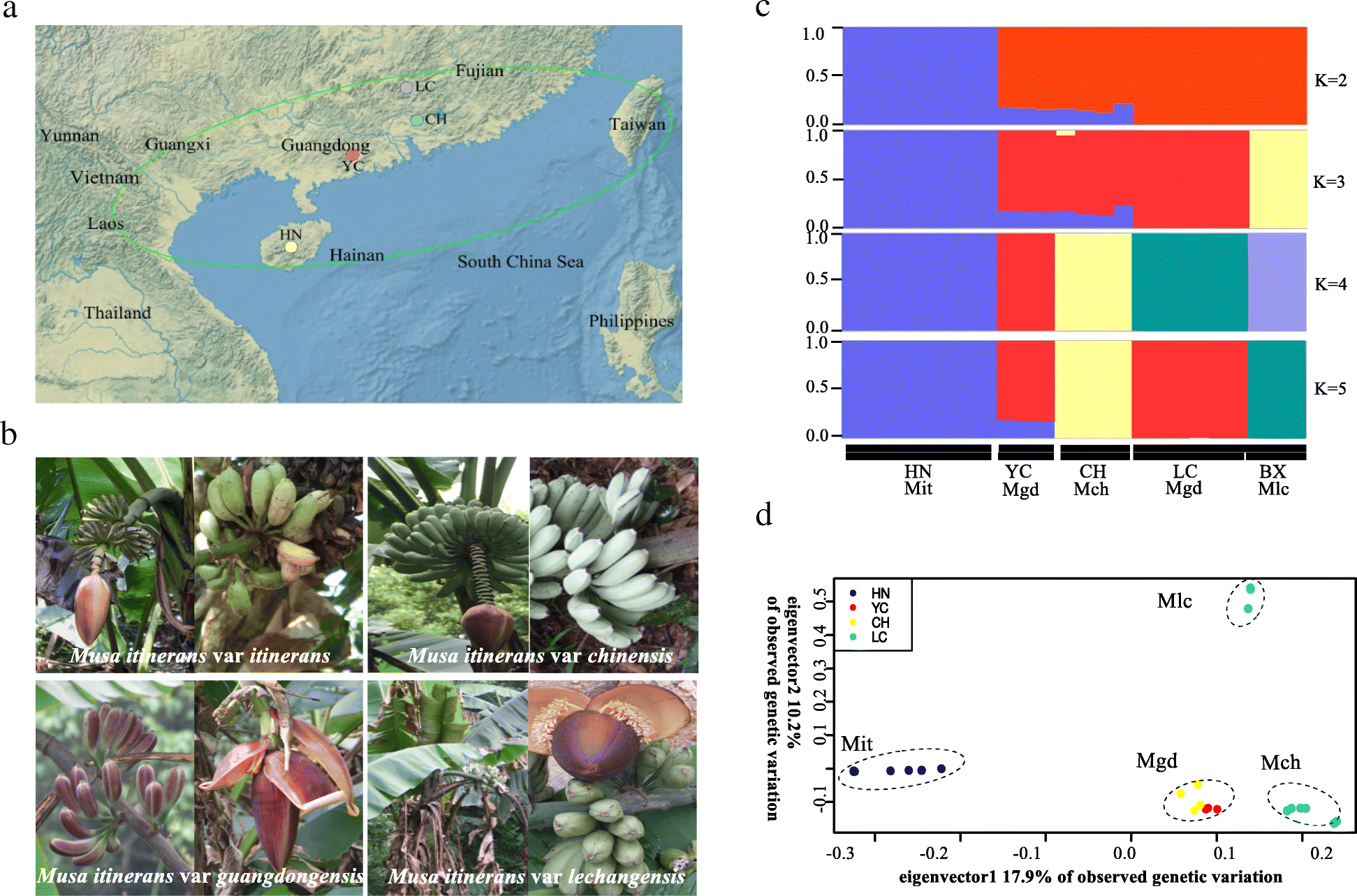 Fig. 1