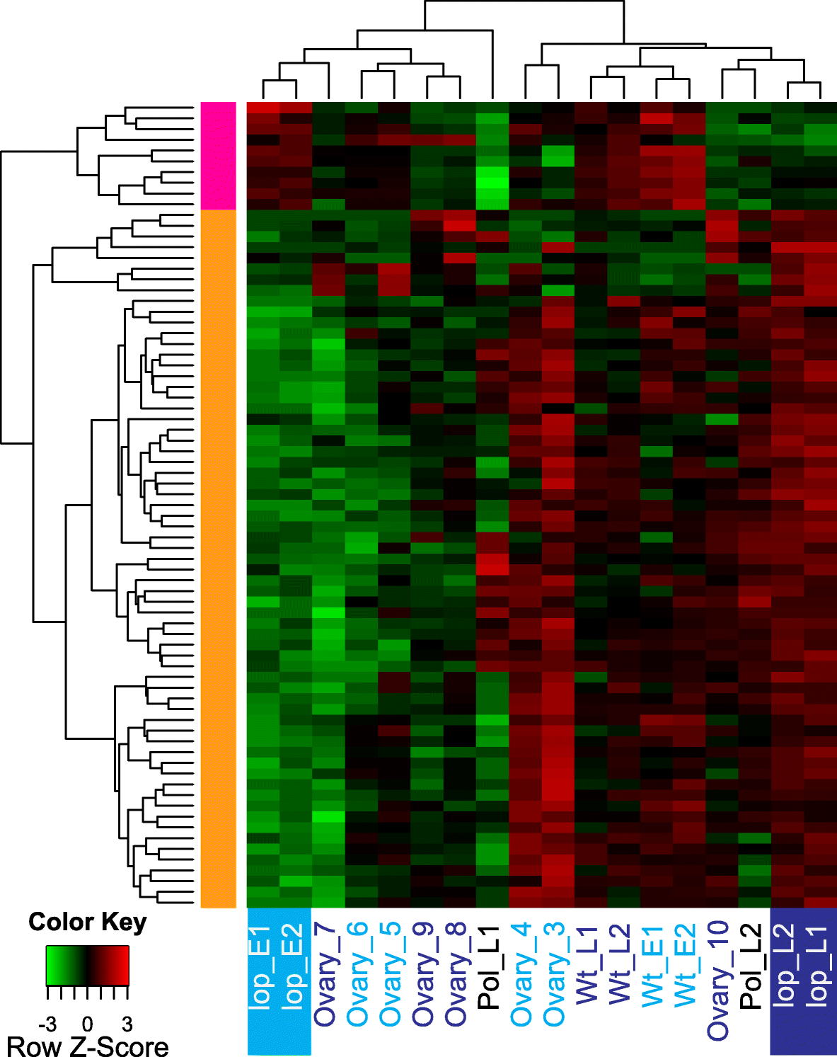 Fig. 2