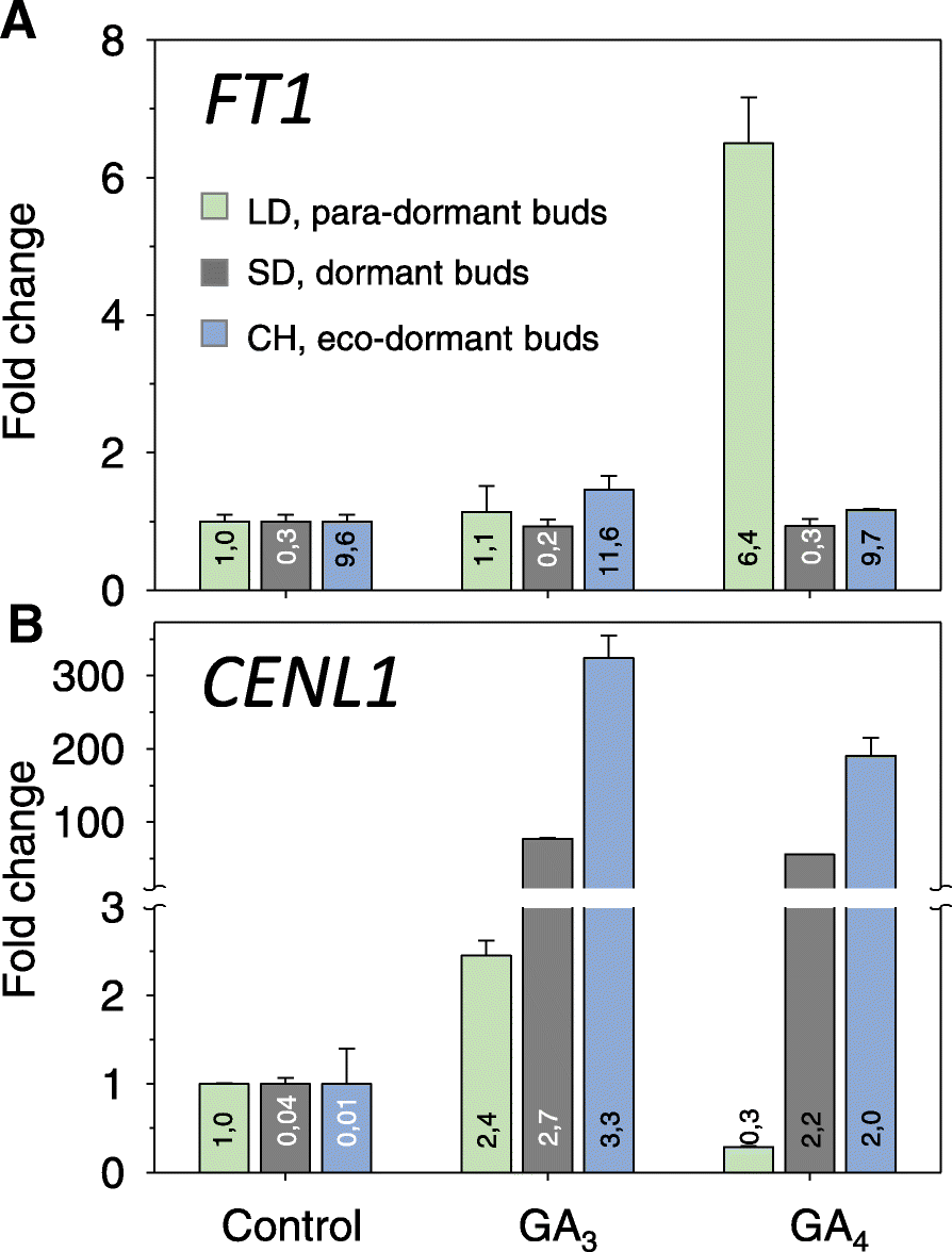 Fig. 8