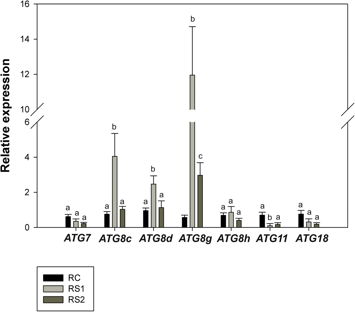 Fig. 7