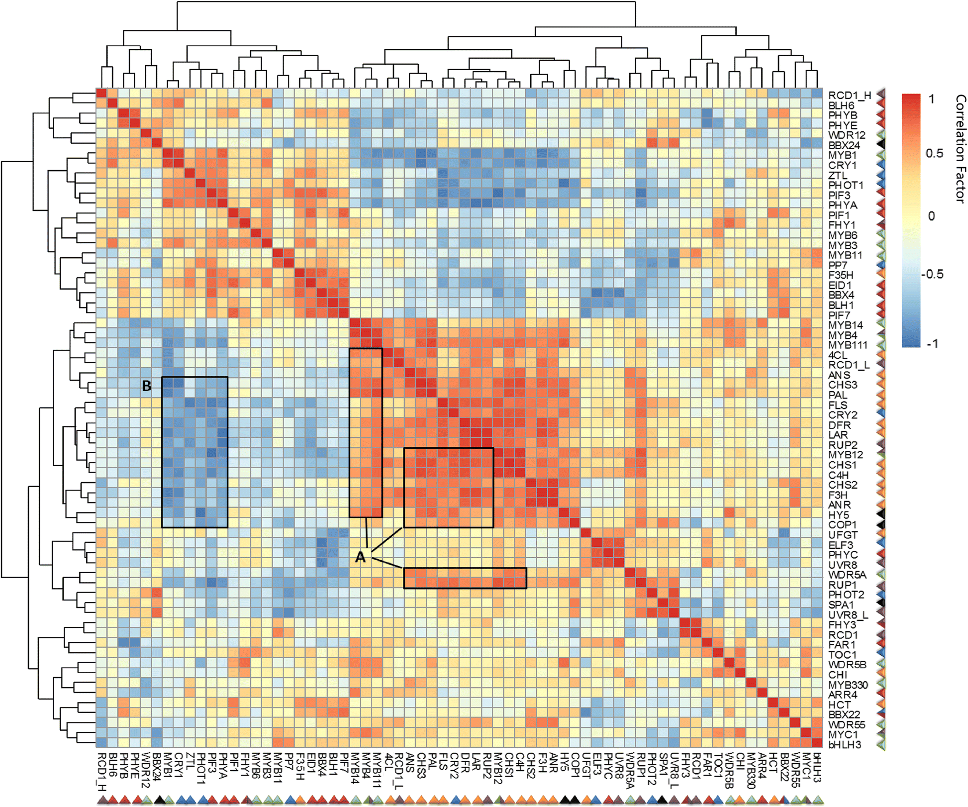 Fig. 6