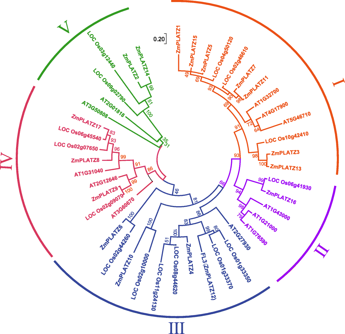 Fig. 8