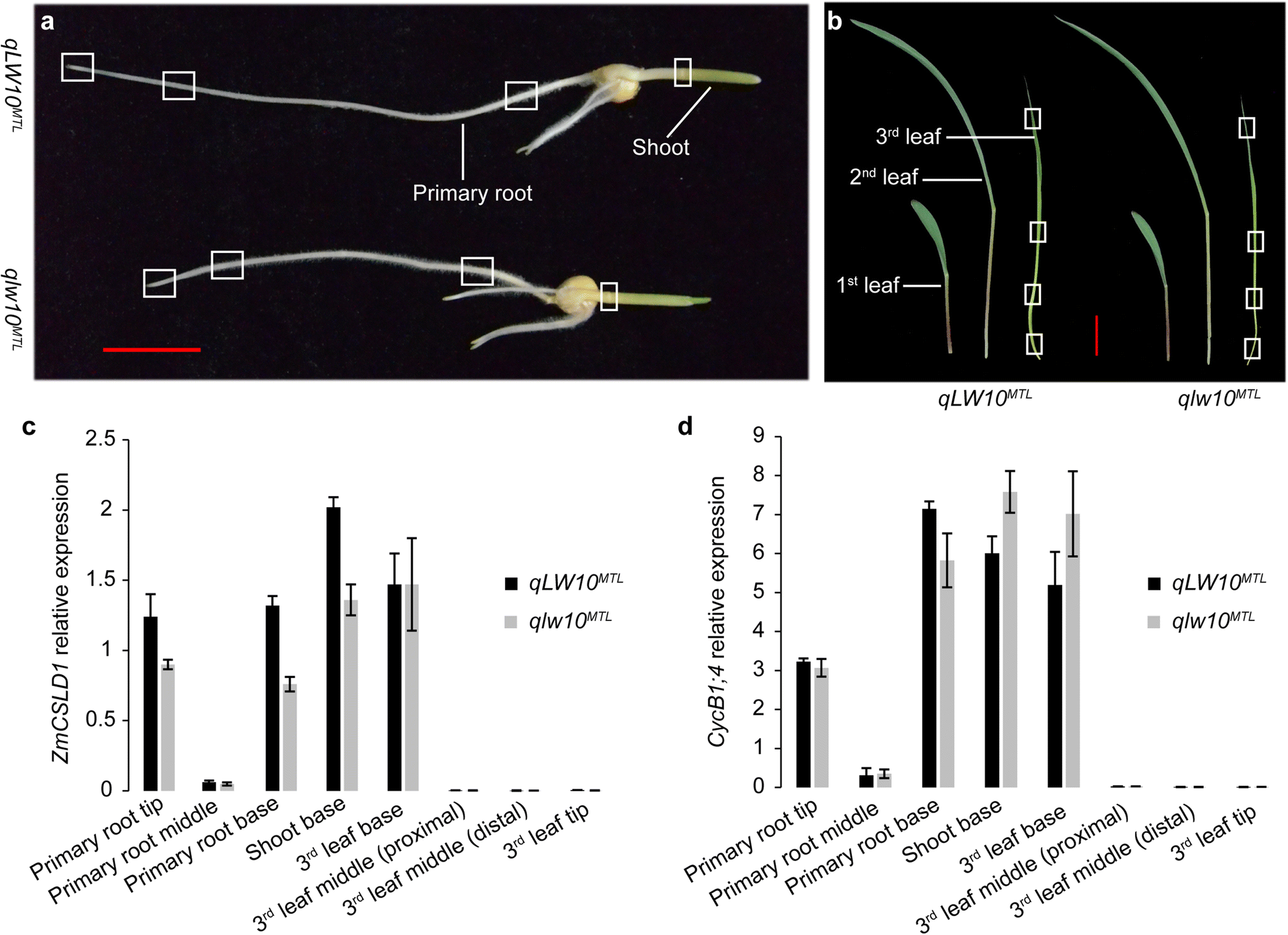 Fig. 6