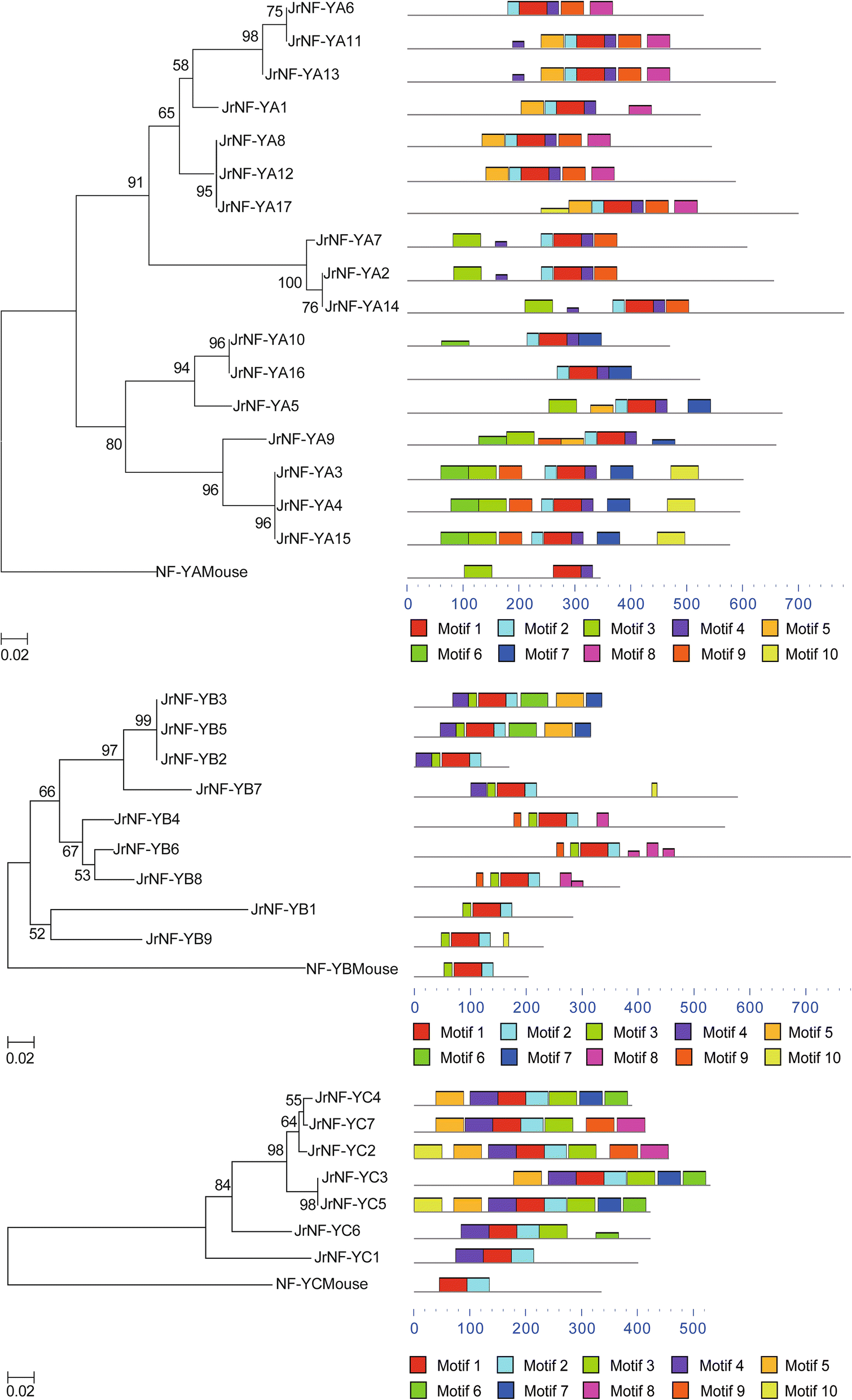 Fig. 4