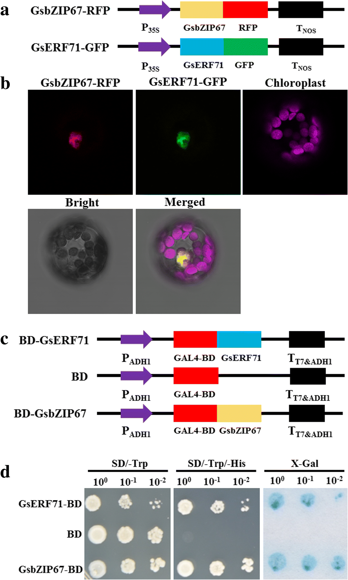 Fig. 2