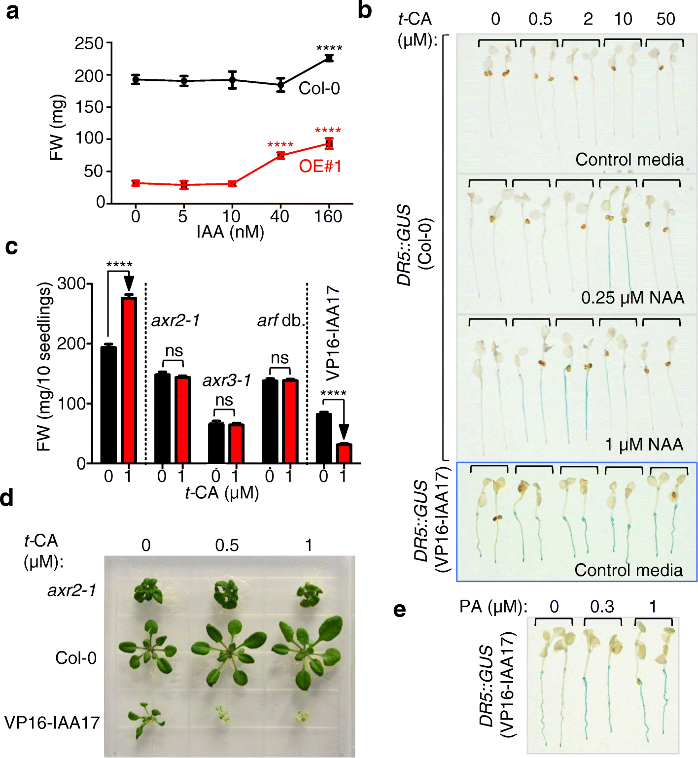 Fig. 7