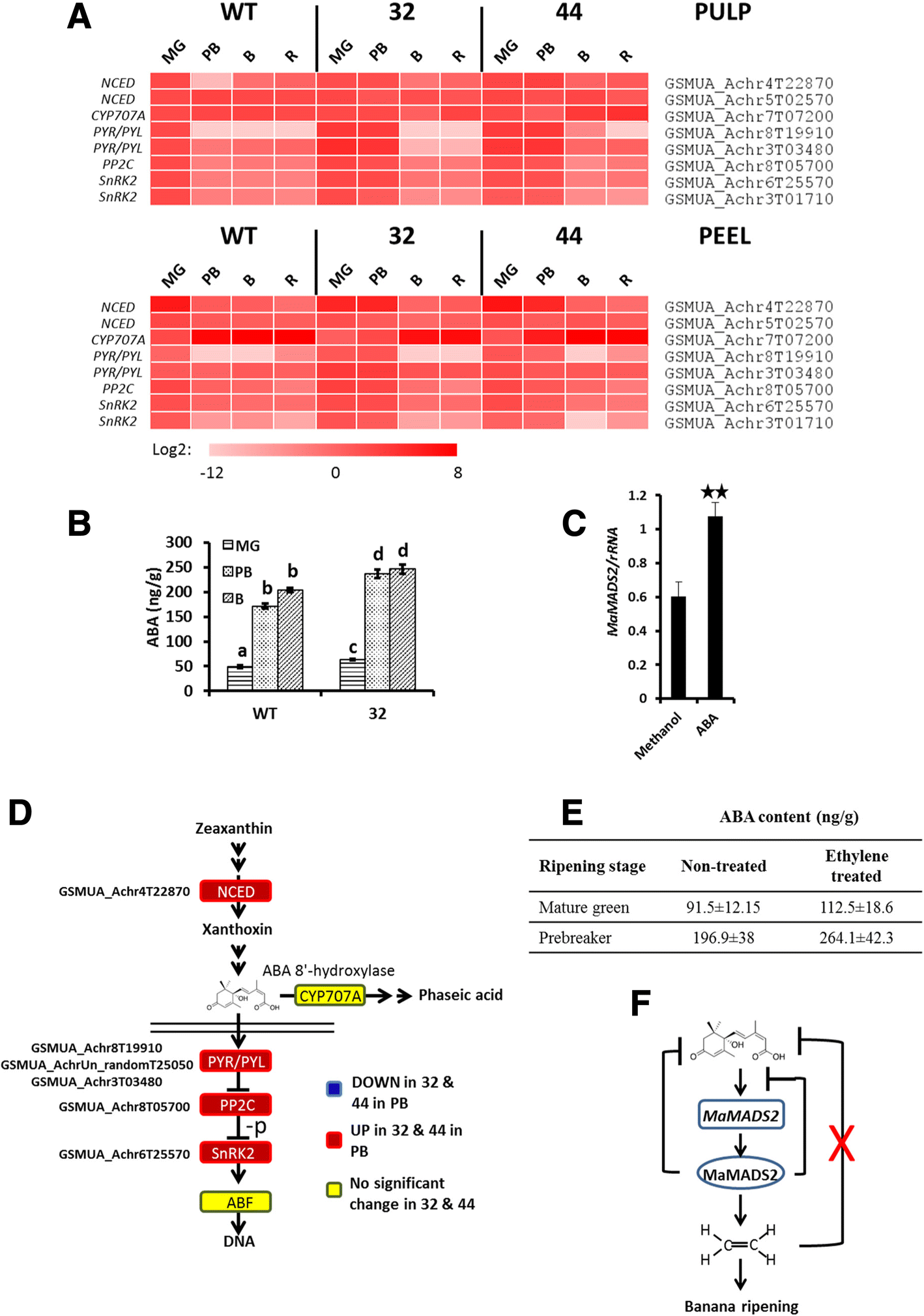 Fig. 4