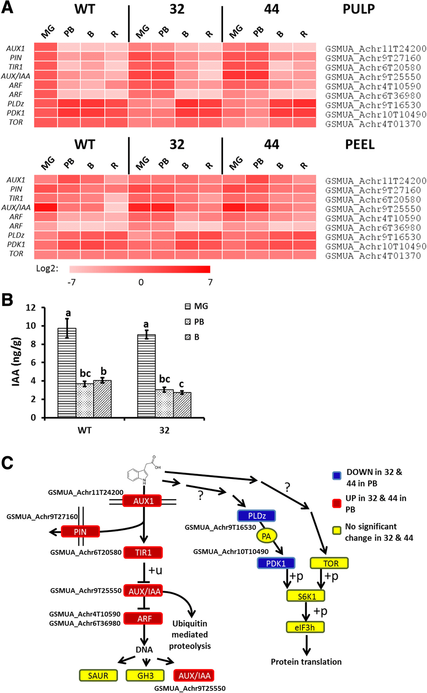 Fig. 6