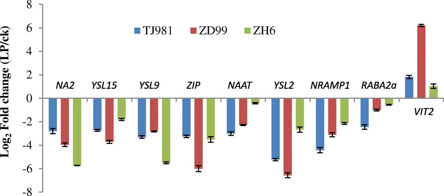 Fig. 4