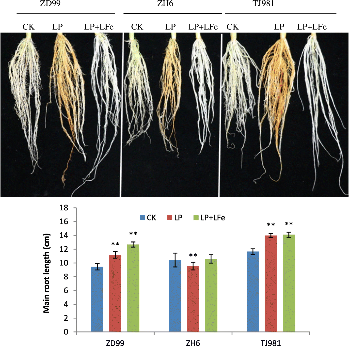 Fig. 7