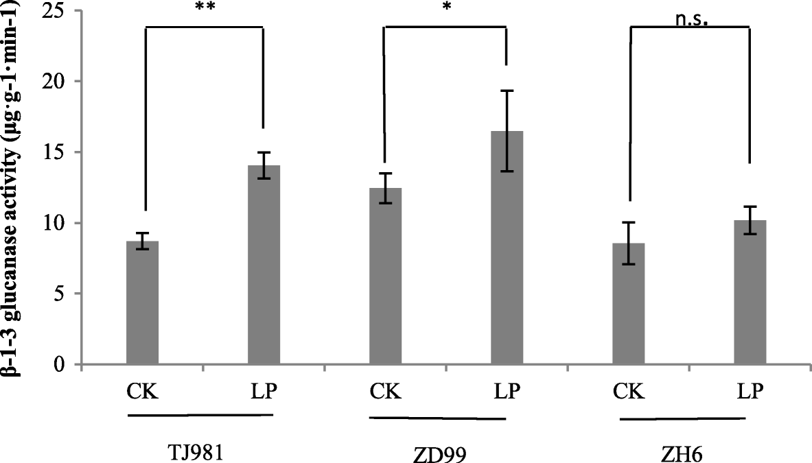 Fig. 9