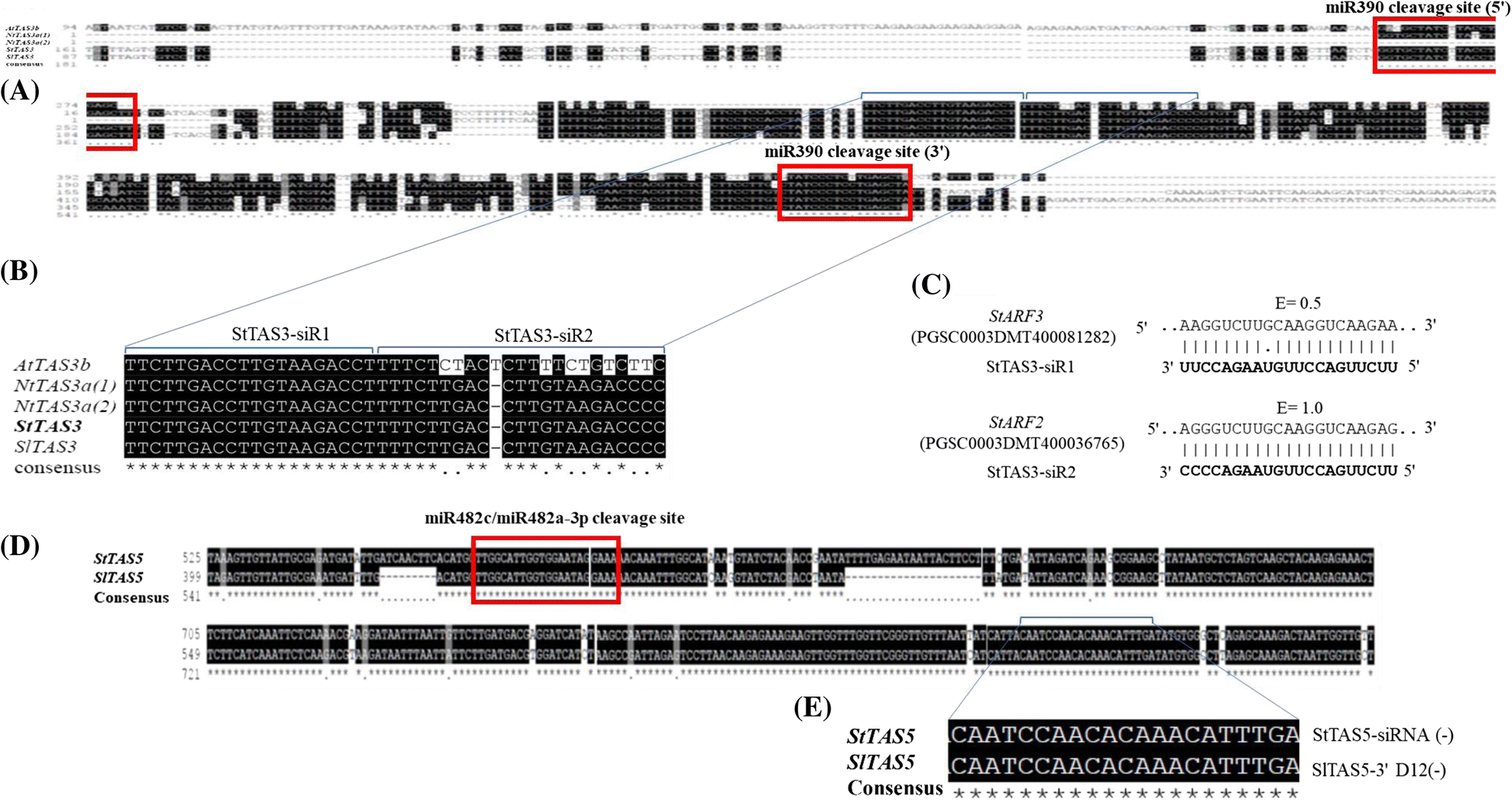 Fig. 9