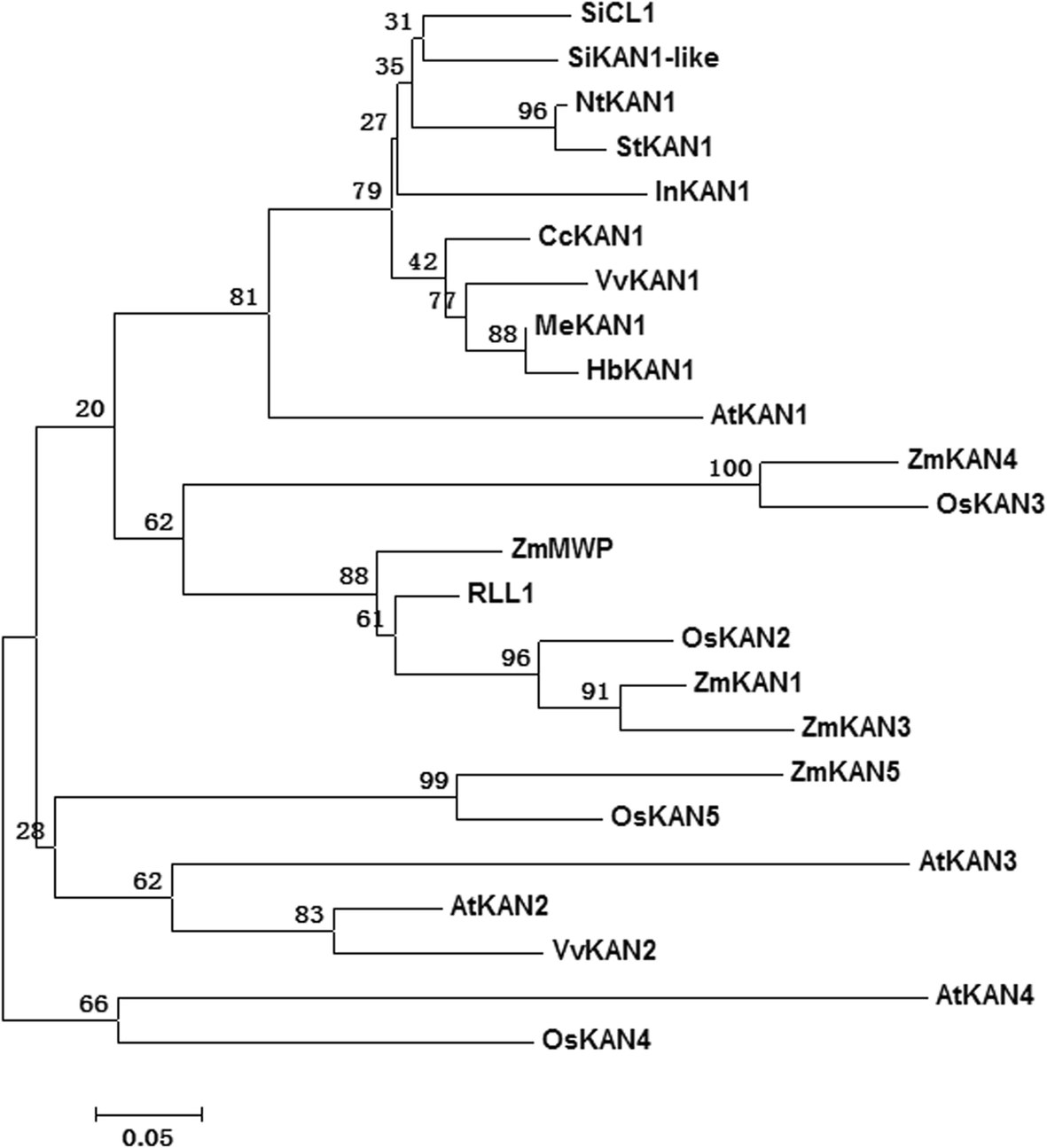 Fig. 4