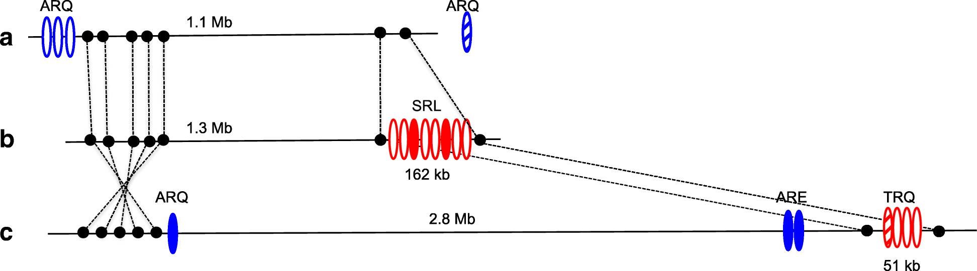 Fig. 5