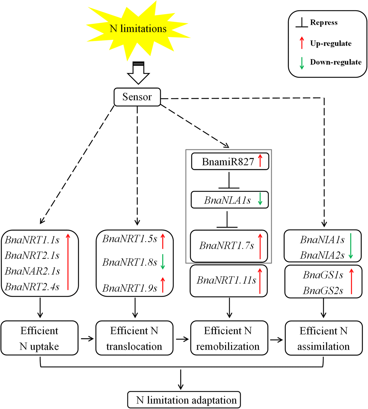 Fig. 9