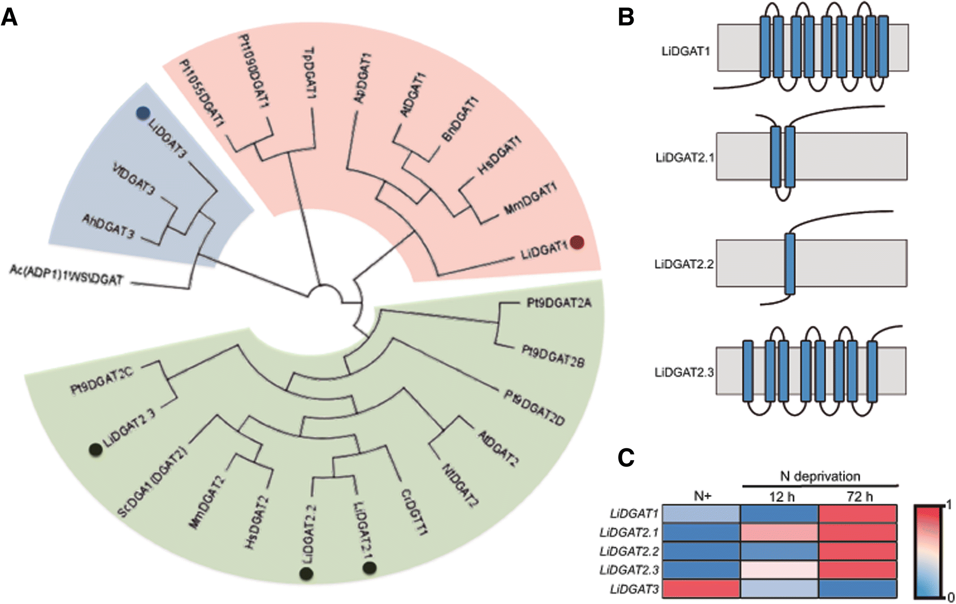 Fig. 2