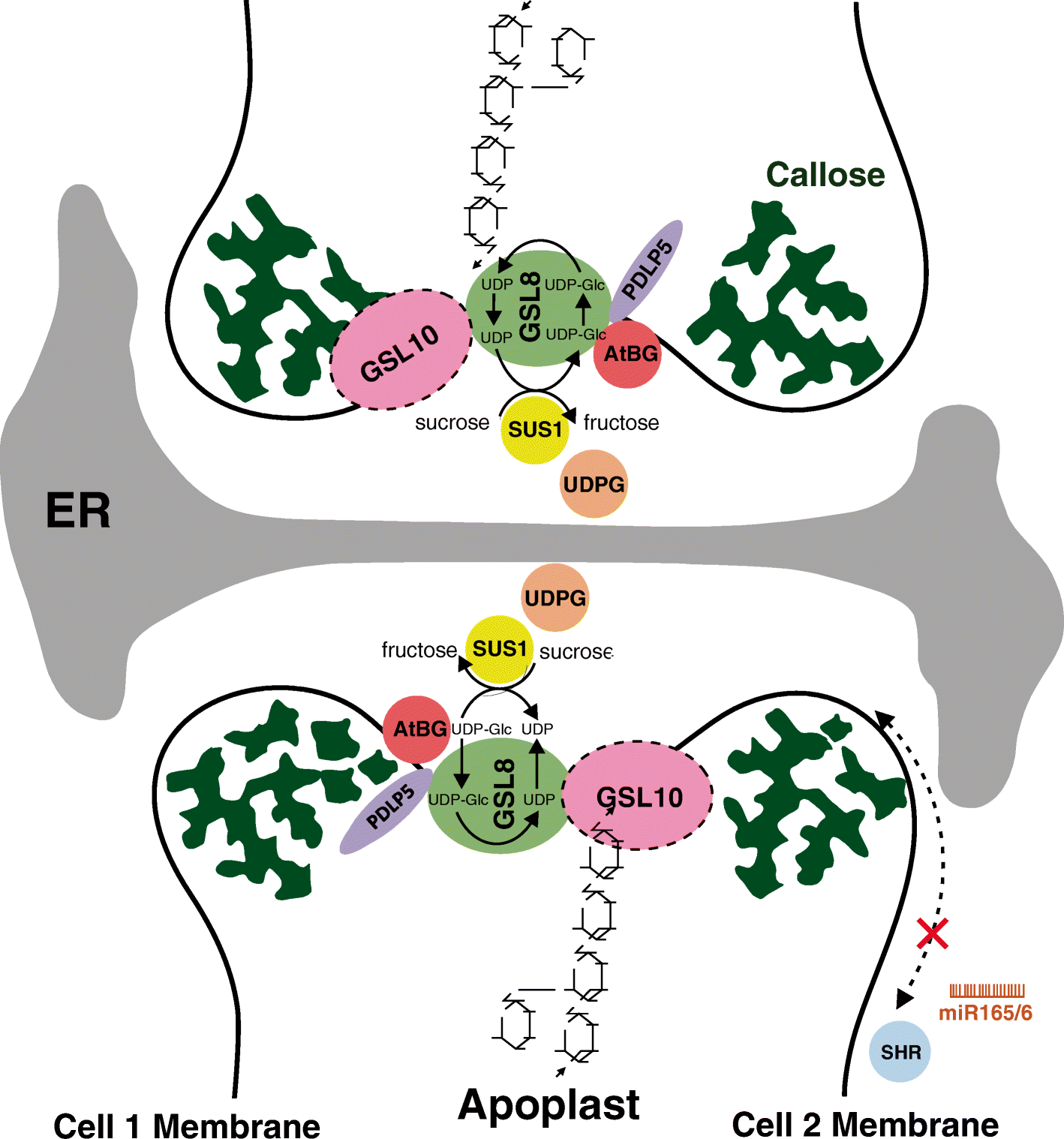 Fig. 7