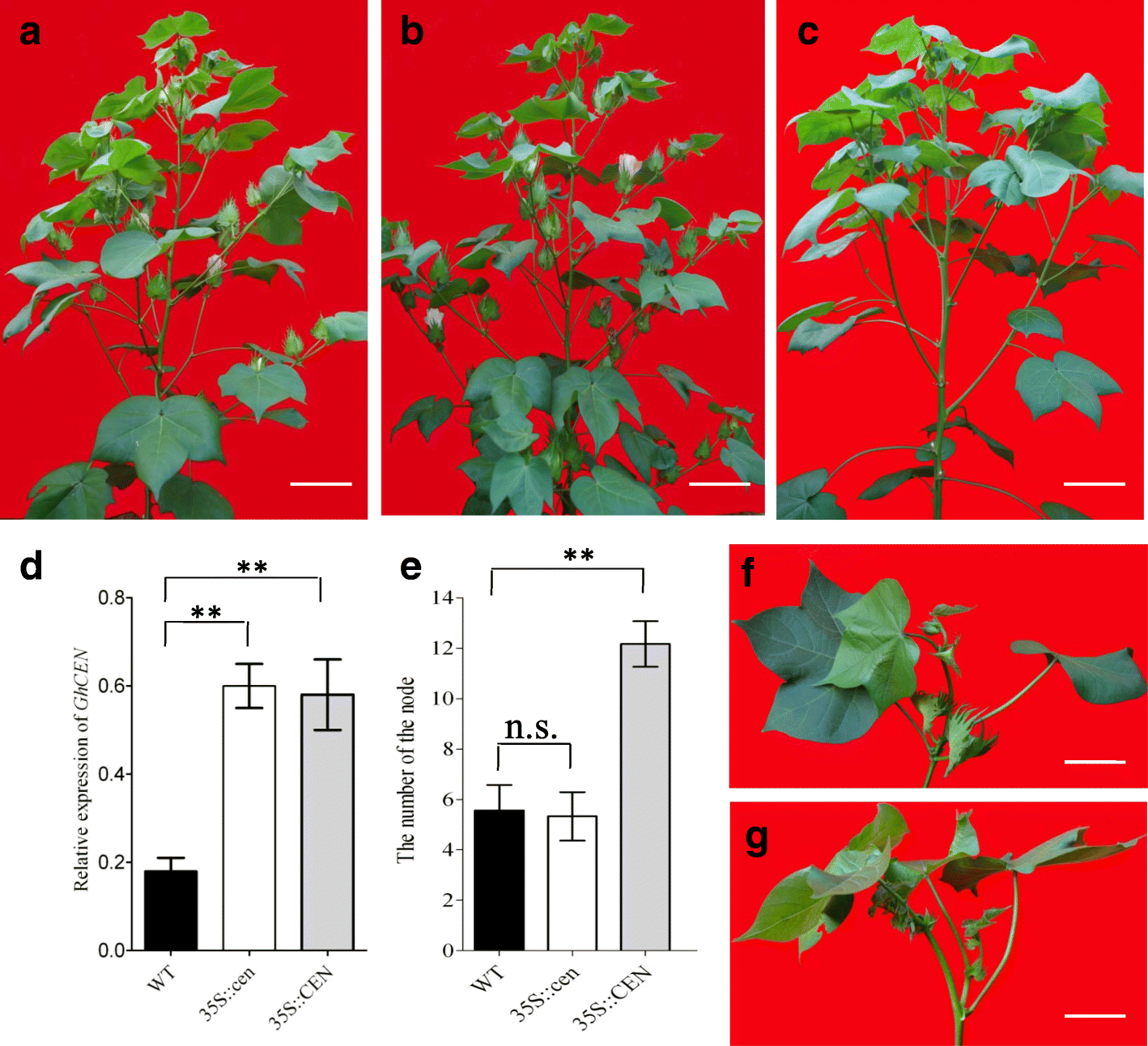 Fig. 4