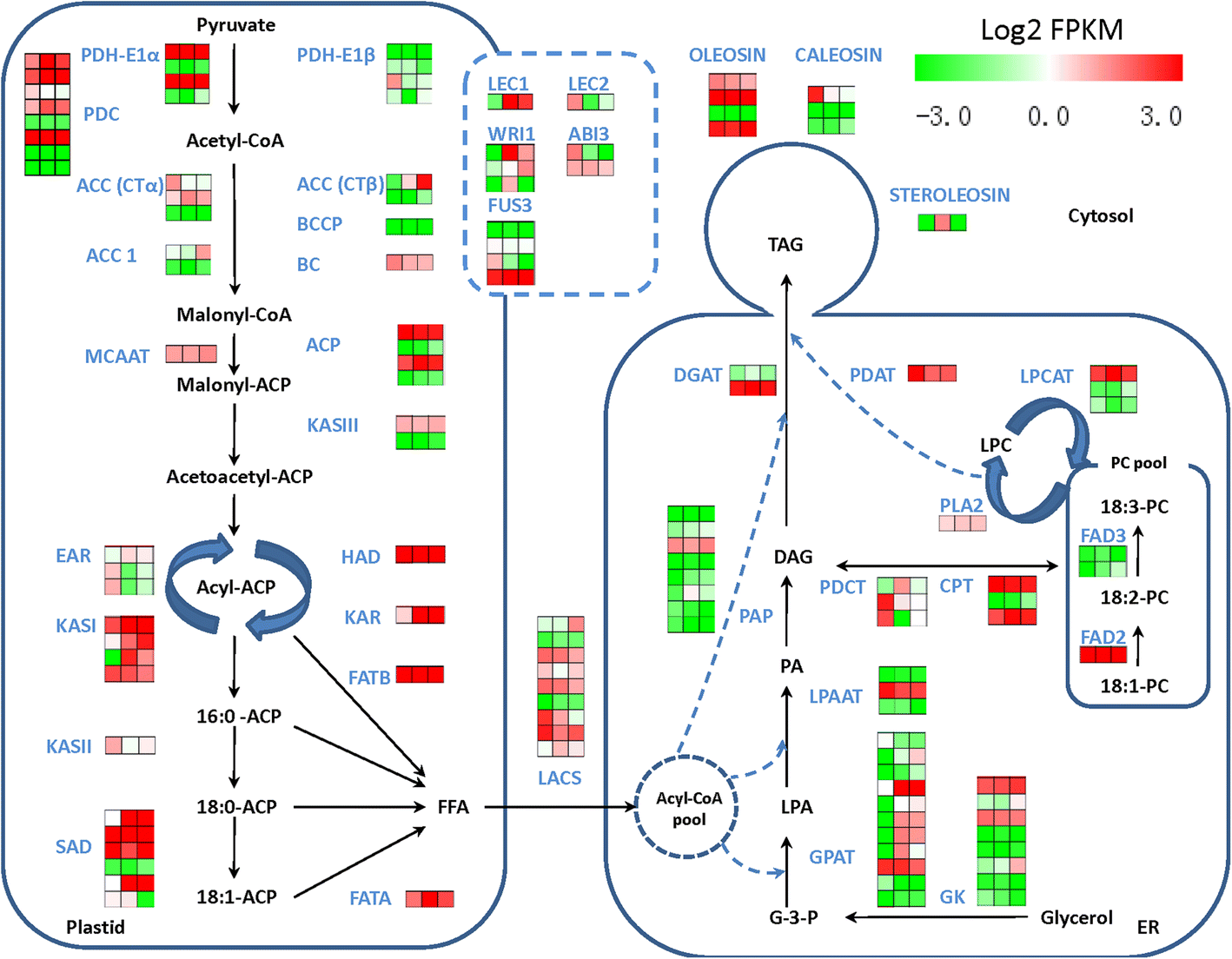 Fig. 3