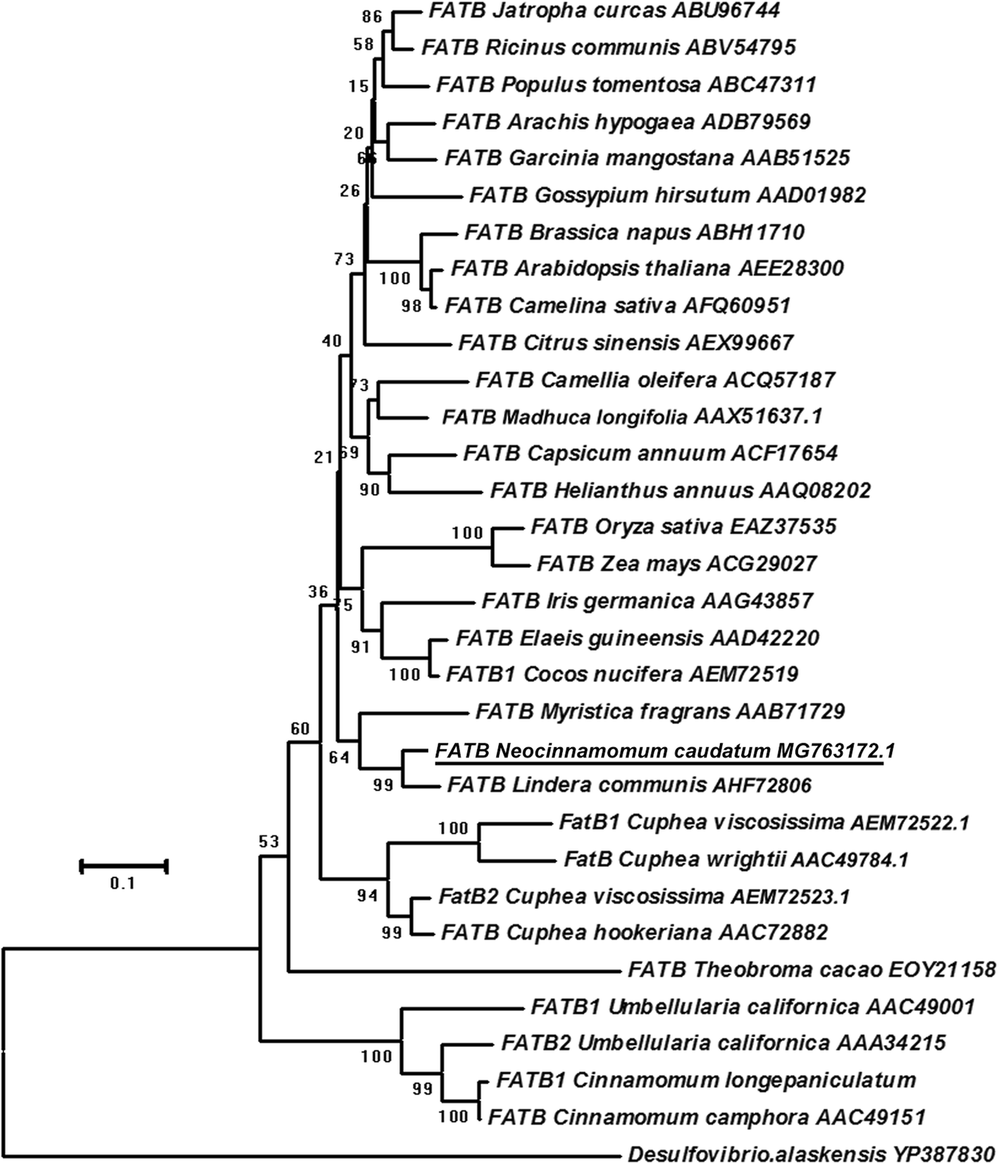 Fig. 6