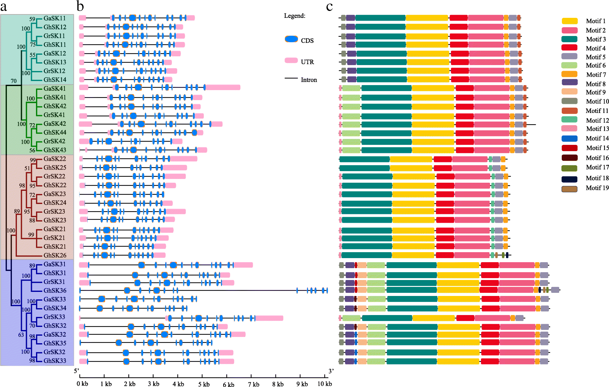 Fig. 3