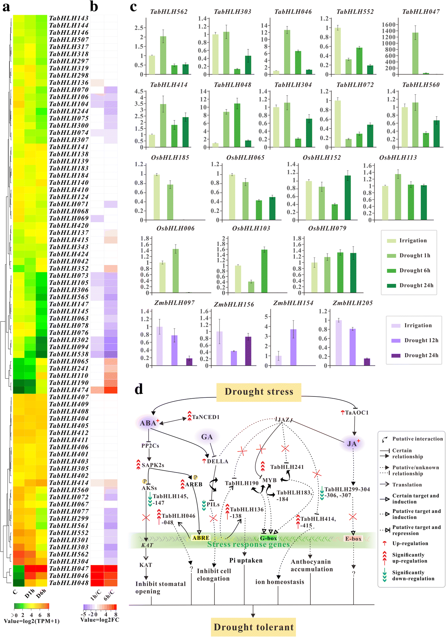 Fig. 4