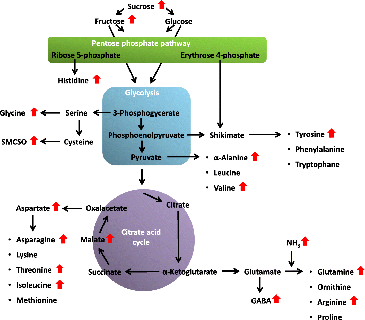 Fig. 9