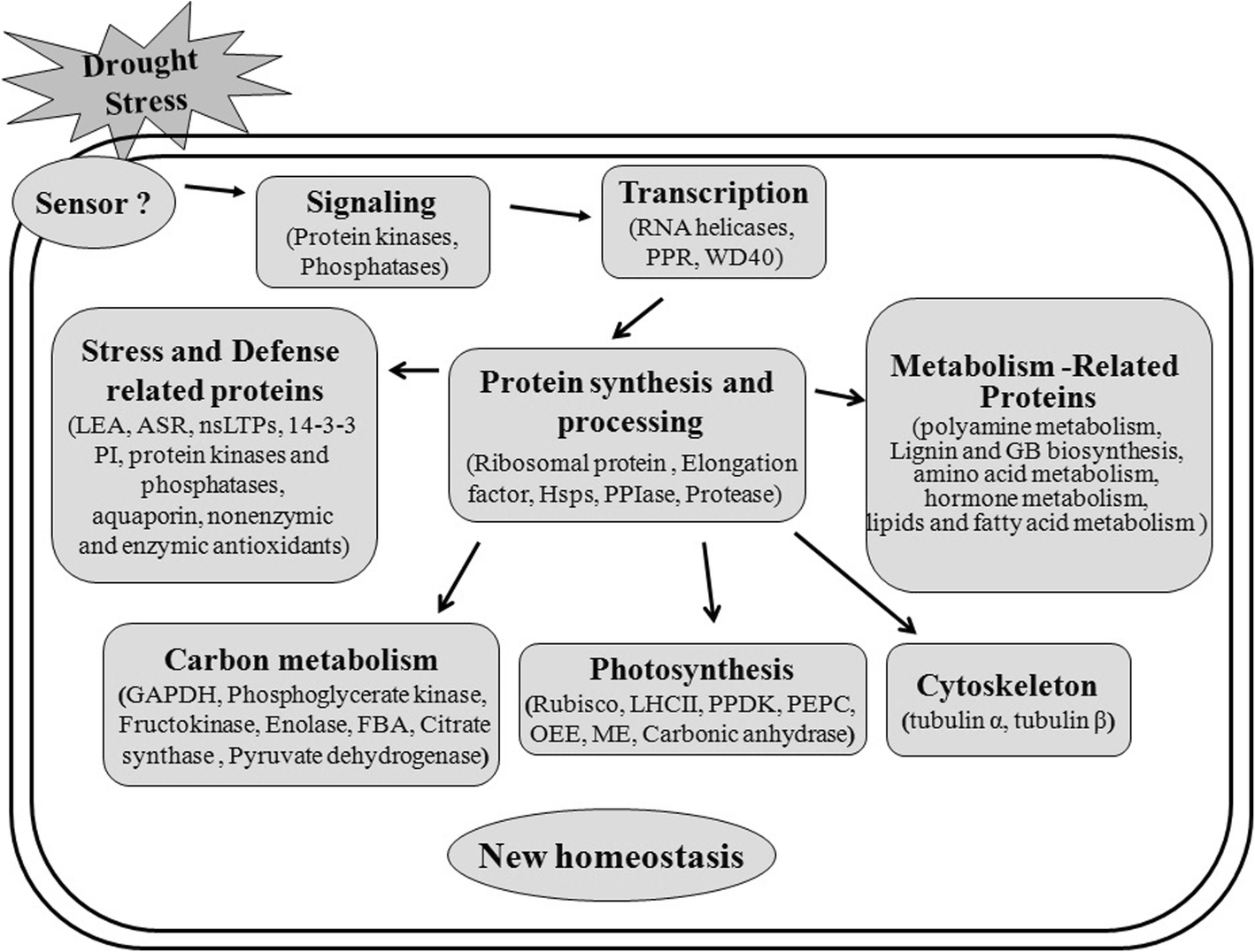 Fig. 10